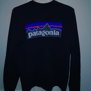 Long-Sleeved Patagonia Shirt